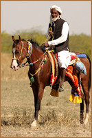 Traditional Horseman of Kutch